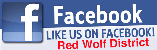 Facebook page logo